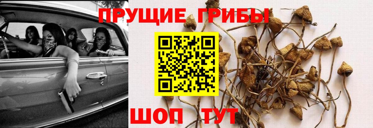 Москва  Галлюциногенные грибы Cubensis  Галлюциногенные грибы Magic Shrooms  Вход с VPN 