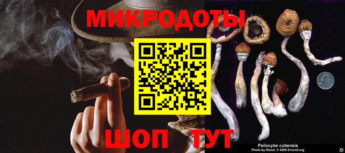 Псилоцибиновые грибы мухоморы Москва