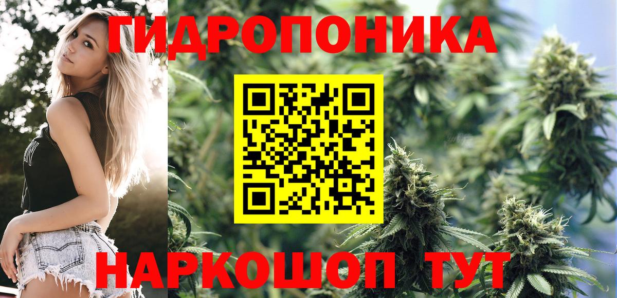 Марихуана сатива  Вход с VPN  Каннабис планчик  Марихуана индика  Москва 